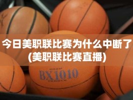 今日美职联比赛为什么中断了(美职联比赛直播)
