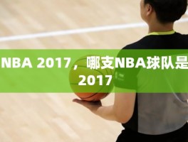 NBA 2017，哪支NBA球队是2017