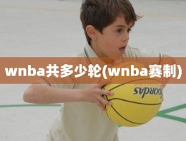 wnba共多少轮(wnba赛制)