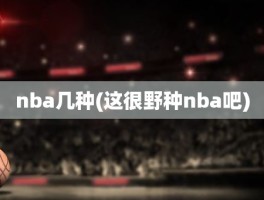 nba几种(这很野种nba吧)