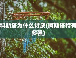 科斯塔为什么讨厌(阿斯塔特有多强)