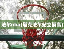 法尔nba(塔克法尔站立摸高)