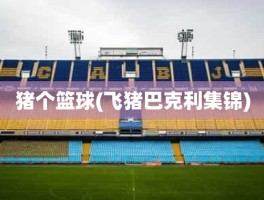 猪个篮球(飞猪巴克利集锦)