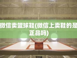微信卖篮球鞋(微信上卖鞋的是正品吗)