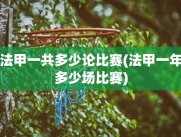 法甲一共多少论比赛(法甲一年多少场比赛)
