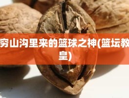 穷山沟里来的篮球之神(篮坛教皇)