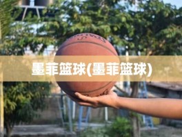 墨菲篮球(墨菲篮球)