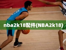 nba2k18配件(NBA2k18)