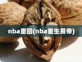 nba重回(nba重生易帝)