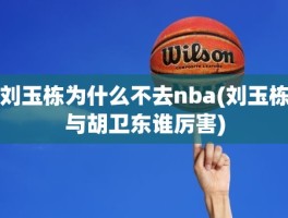 刘玉栋为什么不去nba(刘玉栋与胡卫东谁厉害)