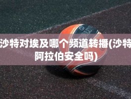 沙特对埃及哪个频道转播(沙特阿拉伯安全吗)