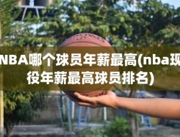 NBA哪个球员年薪最高(nba现役年薪最高球员排名)