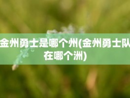 金州勇士是哪个州(金州勇士队在哪个洲)