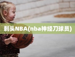 刺头NBA(nba神经刀球员)