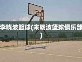 李晓波篮球(宋晓波篮球俱乐部)