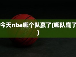 今天nba哪个队赢了(哪队赢了)