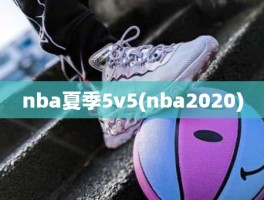 nba夏季5v5(nba2020)