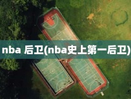 nba 后卫(nba史上第一后卫)