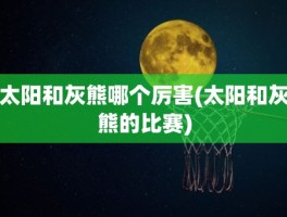 太阳和灰熊哪个厉害(太阳和灰熊的比赛)