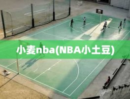 小麦nba(NBA小土豆)