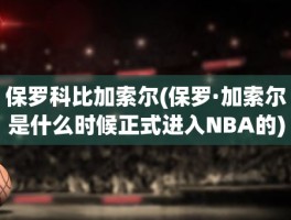 保罗科比加索尔(保罗·加索尔是什么时候正式进入NBA的)