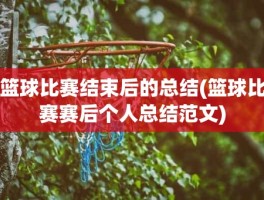 篮球比赛结束后的总结(篮球比赛赛后个人总结范文)