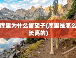 库里为什么留胡子(库里是怎么长高的)