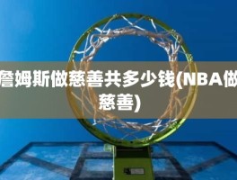 詹姆斯做慈善共多少钱(NBA做慈善)