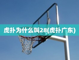 虎扑为什么叫28(虎扑广东)