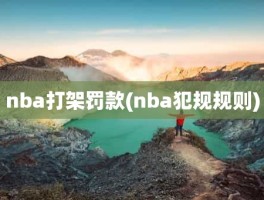 nba打架罚款(nba犯规规则)