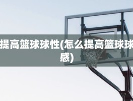 提高篮球球性(怎么提高篮球球感)