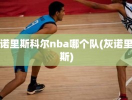 诺里斯科尔nba哪个队(灰诺里斯)