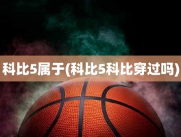 科比5属于(科比5科比穿过吗)