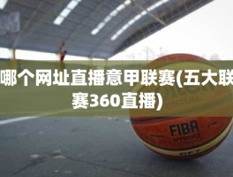 哪个网址直播意甲联赛(五大联赛360直播)