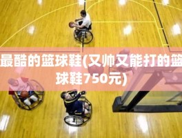最酷的篮球鞋(又帅又能打的篮球鞋750元)