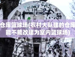 仓库篮球场(农村大队建的仓库能不能改建为室内篮球场)