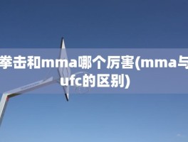 拳击和mma哪个厉害(mma与ufc的区别)