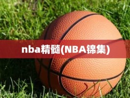 nba精髓(NBA锦集)