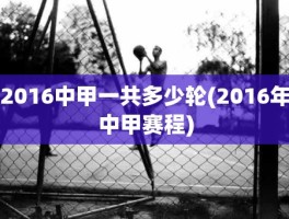 2016中甲一共多少轮(2016年中甲赛程)