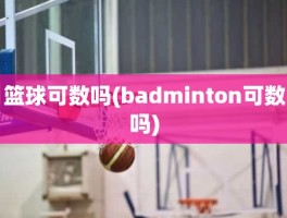 篮球可数吗(badminton可数吗)