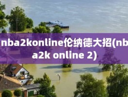 nba2konline伦纳德大招(nba2k online 2)