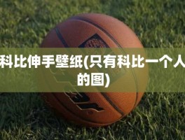 科比伸手壁纸(只有科比一个人的图)