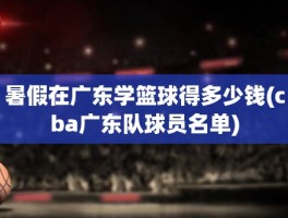 暑假在广东学篮球得多少钱(cba广东队球员名单)