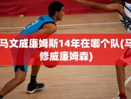 马文威廉姆斯14年在哪个队(马修威廉姆森)