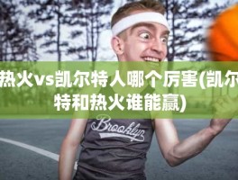 热火vs凯尔特人哪个厉害(凯尔特和热火谁能赢)