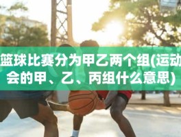 篮球比赛分为甲乙两个组(运动会的甲、乙、丙组什么意思)