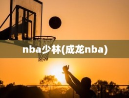 nba少林(成龙nba)