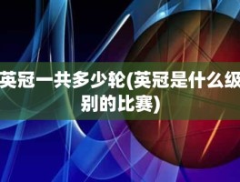 英冠一共多少轮(英冠是什么级别的比赛)