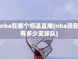 nba在哪个频道直播(nba现在有多少支球队)