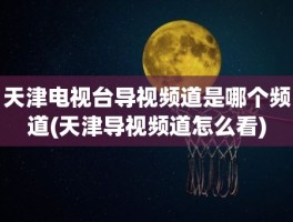 天津电视台导视频道是哪个频道(天津导视频道怎么看)